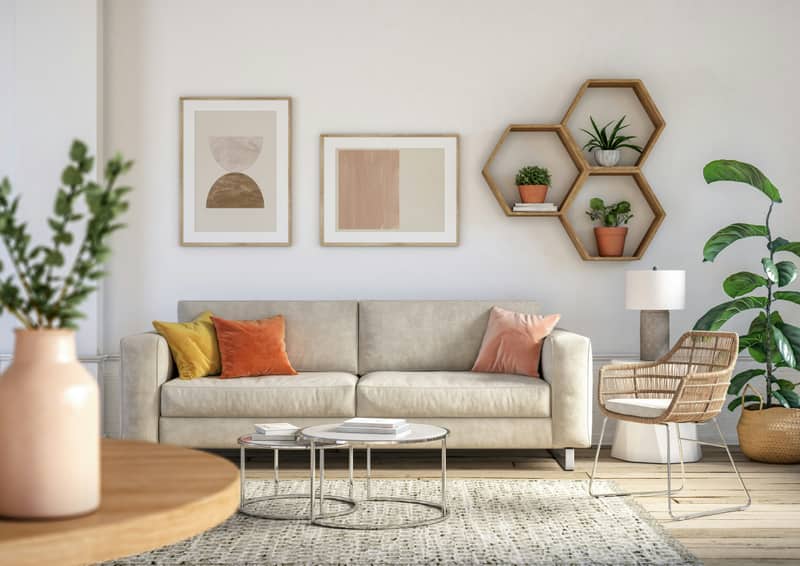 Residential living room with indoor plants